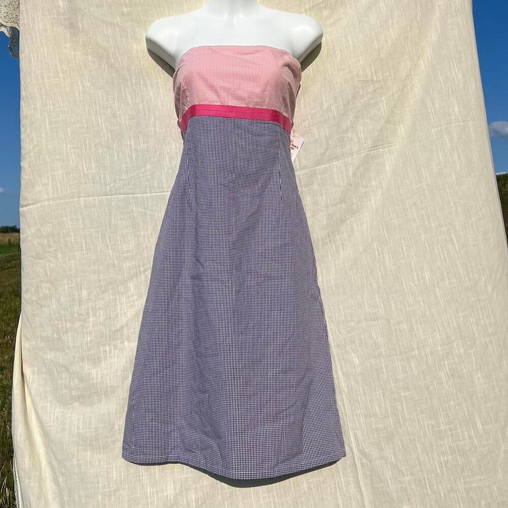 Vintage blue and pink gingham strapless dress